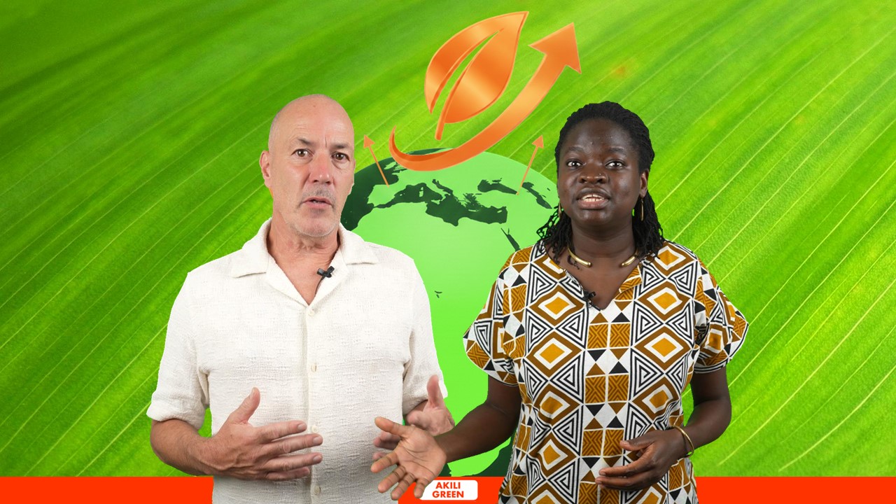 Entering the Carbon Market